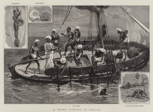 Una pesca di perle a Ceylon